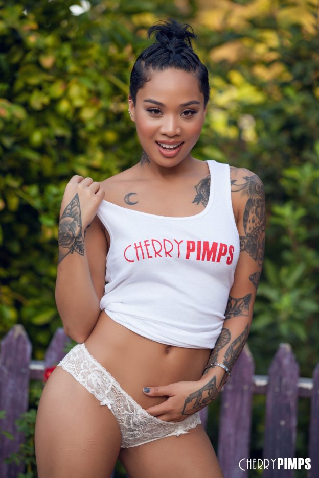 Cherry Pimps’ Name Honey Gold the November Cherry of the Month
